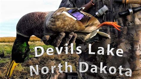 north dakota duck hunting license.